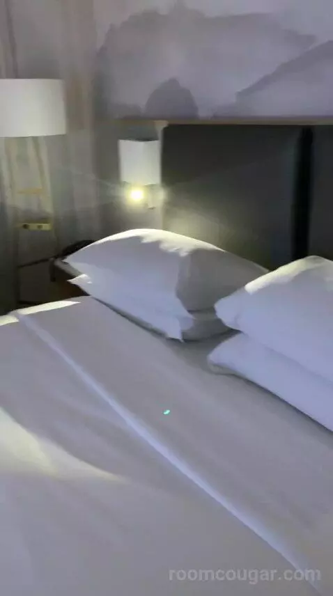 Deluxe King Room (#2107) bed picture #5