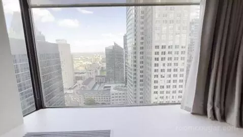 Club Level, Guest Room, 1 King, High Floor (#3230) view picture #3
