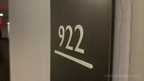 King Room (#922) picture #1