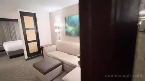 King Room with Sofa Bed (#706) picture #2