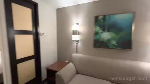 King Room with Sofa Bed (#706) picture #16