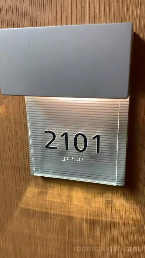 Skyline King Studio Suite (#2101) picture #1