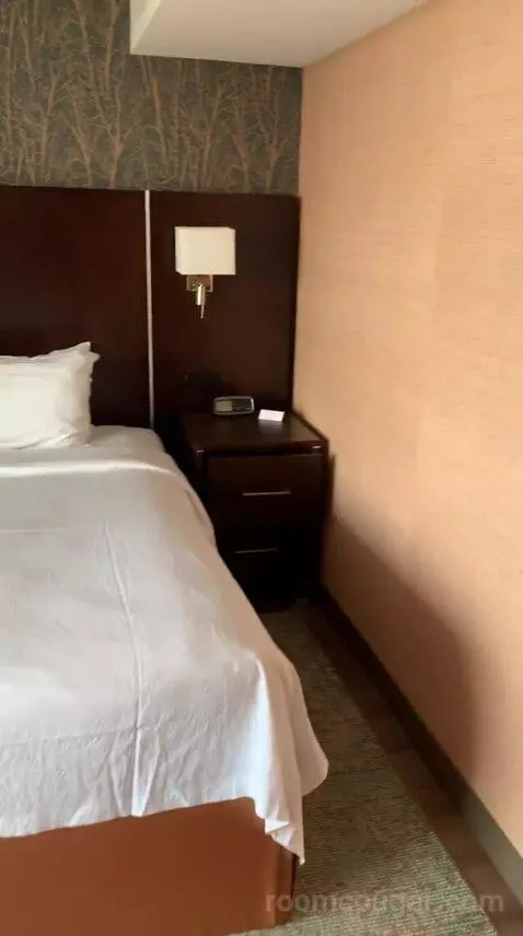 Skyline King Studio Suite (#2101) bed picture #1