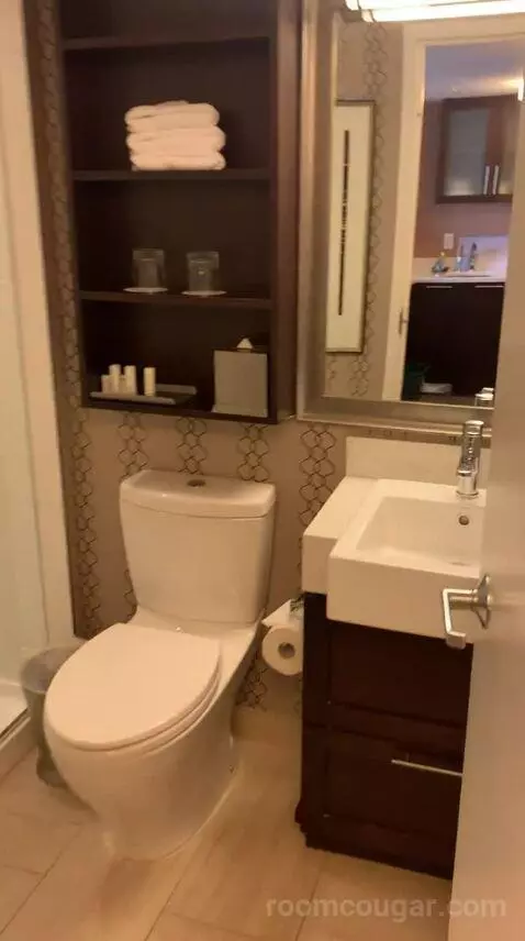 Skyline King Studio Suite (#2101) bathroom picture #5