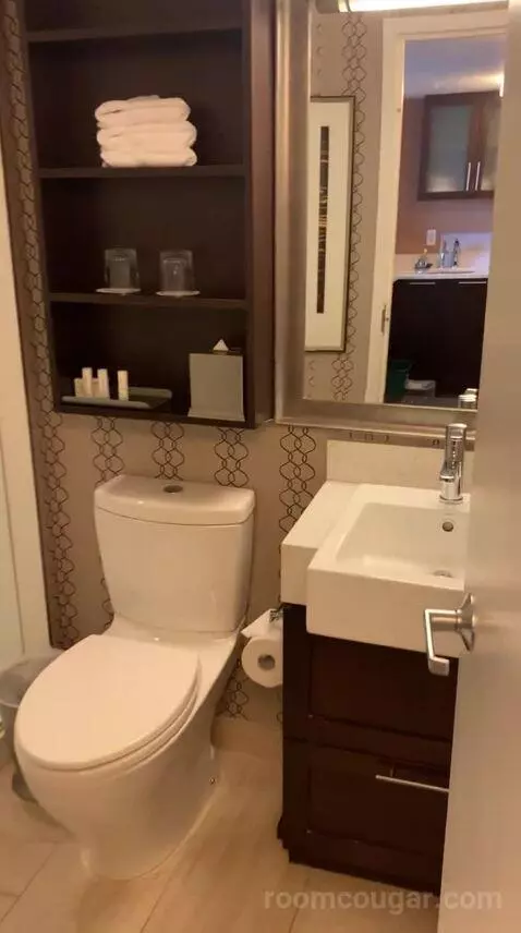 Skyline King Studio Suite (#2101) bathroom picture #6