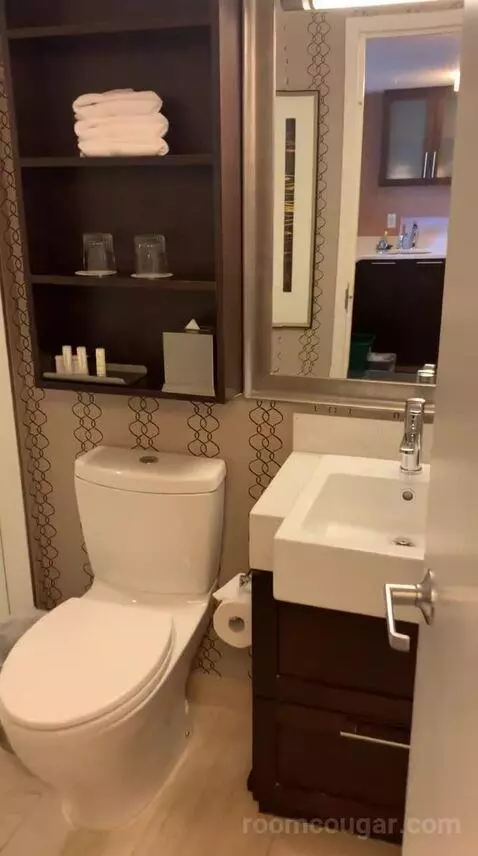 Skyline King Studio Suite (#2101) bathroom picture #7
