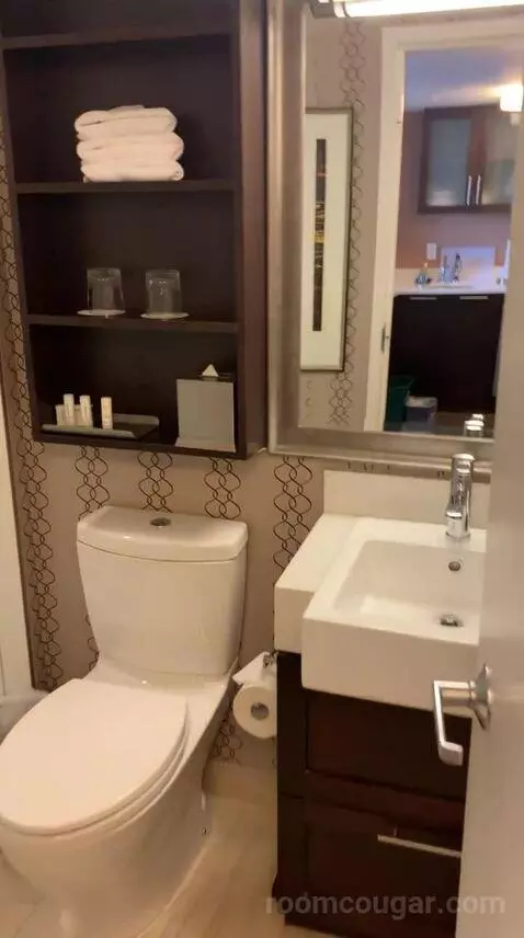 Skyline King Studio Suite (#2101) bathroom picture #8