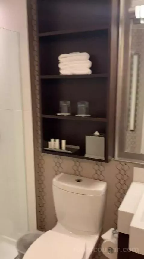 Skyline King Studio Suite (#2101) bathroom picture #10