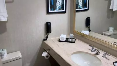 Guest Room, 1 King (#1016) bathroom picture #1