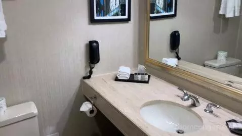 Guest Room, 1 King (#1016) bathroom picture #2