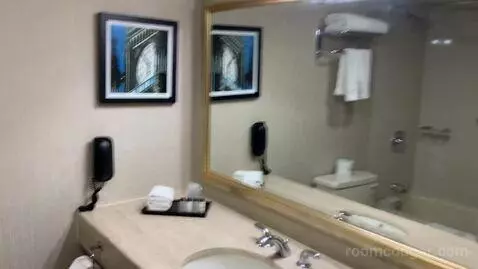 Guest Room, 1 King (#1016) bathroom picture #12