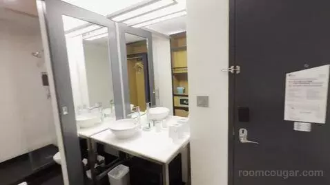 King Guest Room (#502) bathroom picture #2