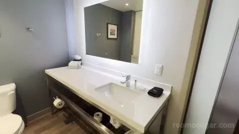 King Room (#239) bathroom picture #2