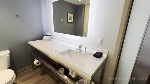 King Room (#239) bathroom picture #3