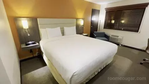 King Room (#315) picture #5