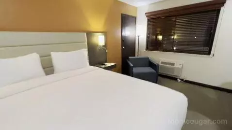 King Room (#315) picture #7
