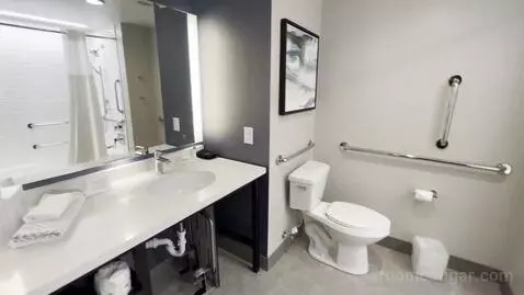 King Suite with Sofa Bed - Accessible (#321) bathroom picture #5