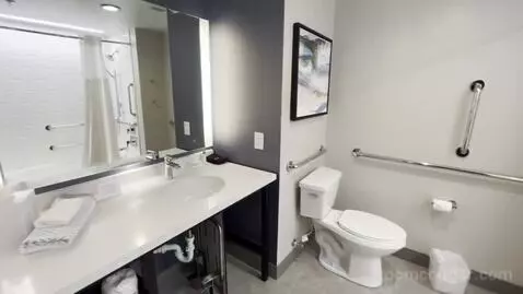 King Suite with Sofa Bed - Accessible (#321) bathroom picture #6