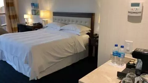 King Room with Balcony (#2417) bed picture #4