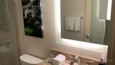 King Room with Balcony (#2417) bathroom picture #6
