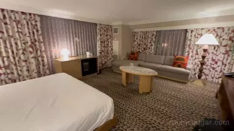 Renovated - 1 King Bed High Floor Deluxe - Corner Room (#1456) bed picture #9