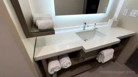 Queen Room with Two Queen Beds (#1016) bathroom picture #6