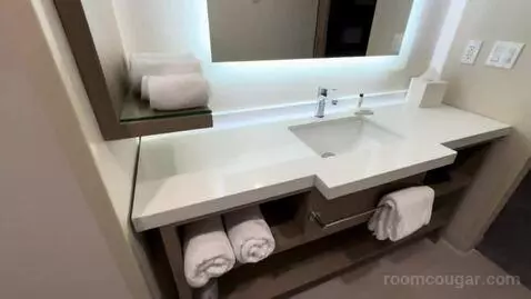 Queen Room with Two Queen Beds (#1016) bathroom picture #7