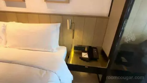 Deluxe Room with Balcony (#3509) bed picture #5