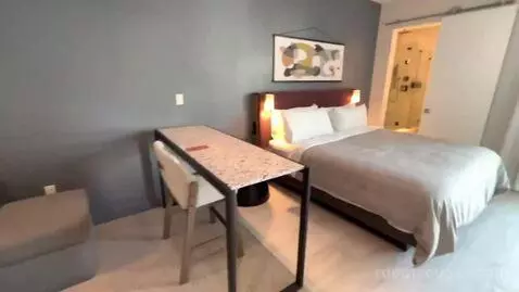 Studio King Suite with Sofa Bed and Balcony (#2405) bed picture #5
