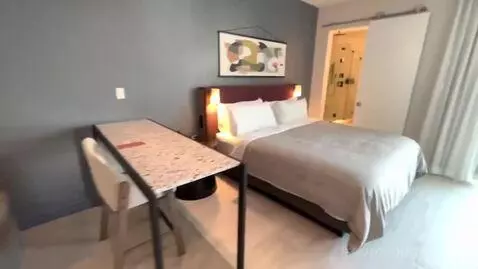 Studio King Suite with Sofa Bed and Balcony (#2405) bed picture #7