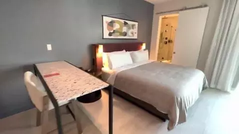 Studio King Suite with Sofa Bed and Balcony (#2405) bed picture #8