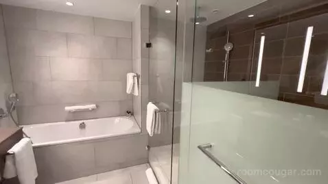 Regency Suite King (#334) bathroom picture #1