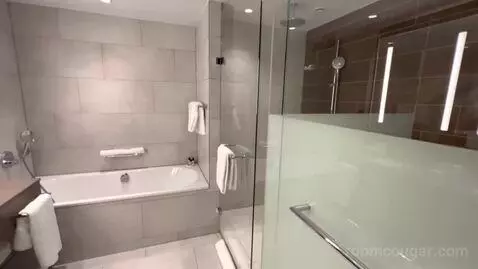 Regency Suite King (#334) bathroom picture #2