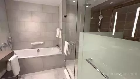 Regency Suite King (#334) bathroom picture #3