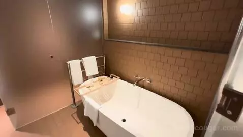 King Suite (#1705) bathroom picture #1