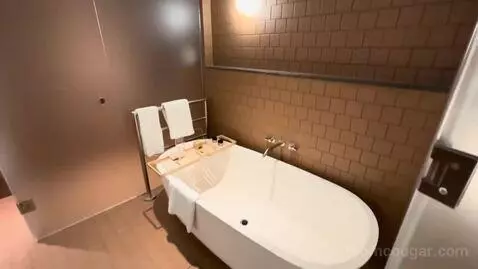 King Suite (#1705) bathroom picture #2