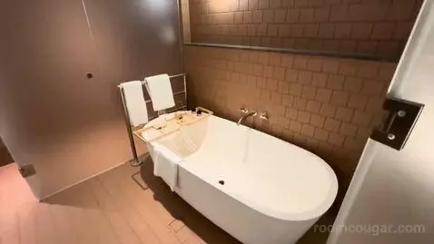 King Suite (#1705) bathroom picture #4