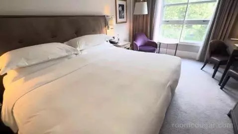 King Room - Club Access (#429) bed picture #5