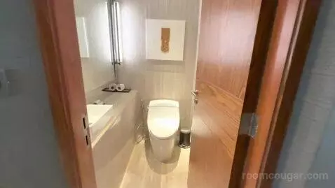 Deluxe King Suite (#1406) bathroom picture #12