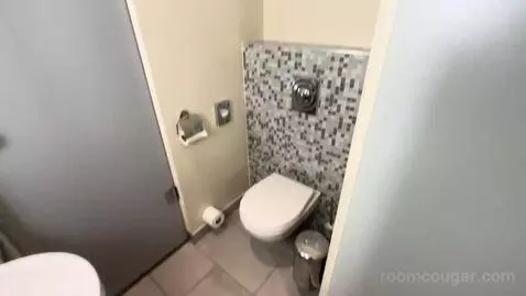 Junior Suite (#214) bathroom picture #7