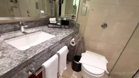 1 Queen Standard Top Floor Loft (#1310) bathroom picture #1
