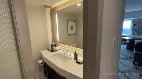 Executive Suite, 1 King, Sofa Bed (#3404) bathroom picture #9