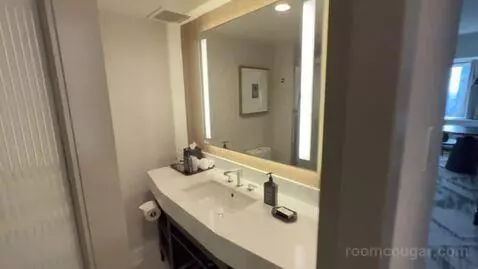 Executive Suite, 1 King, Sofa Bed (#3404) bathroom picture #10