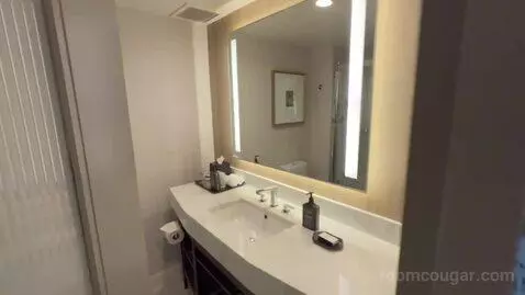 Executive Suite, 1 King, Sofa Bed (#3404) bathroom picture #11