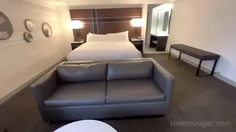 Premier Corner King Room with Sofa Bed (#4233) bed picture #2