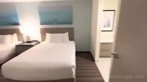 One-Bedroom Suite with Two Queen Beds with Kitchen and Sofa Bed (#326) bed picture #4