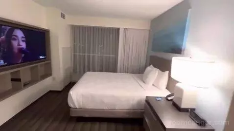 One-Bedroom Suite with Two Queen Beds with Kitchen and Sofa Bed (#326) view picture #9