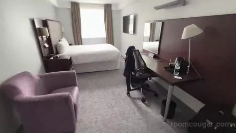 Standard King Room (#433) picture #24