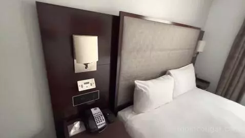 Standard King Room (#433) picture #7
