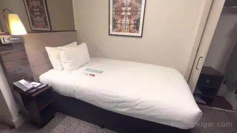 Cozy Single (#789) bed picture #9